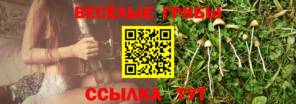 Псилоцибиновые грибы Cubensis  Псилоцибиновые грибы мухоморы  Вход с VPN  Кубинка 